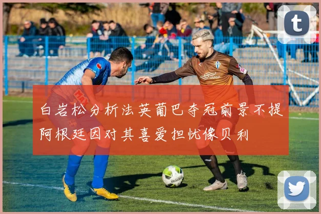白岩松分析法英葡巴夺冠前景不提阿根廷因对其喜爱担忧像贝利